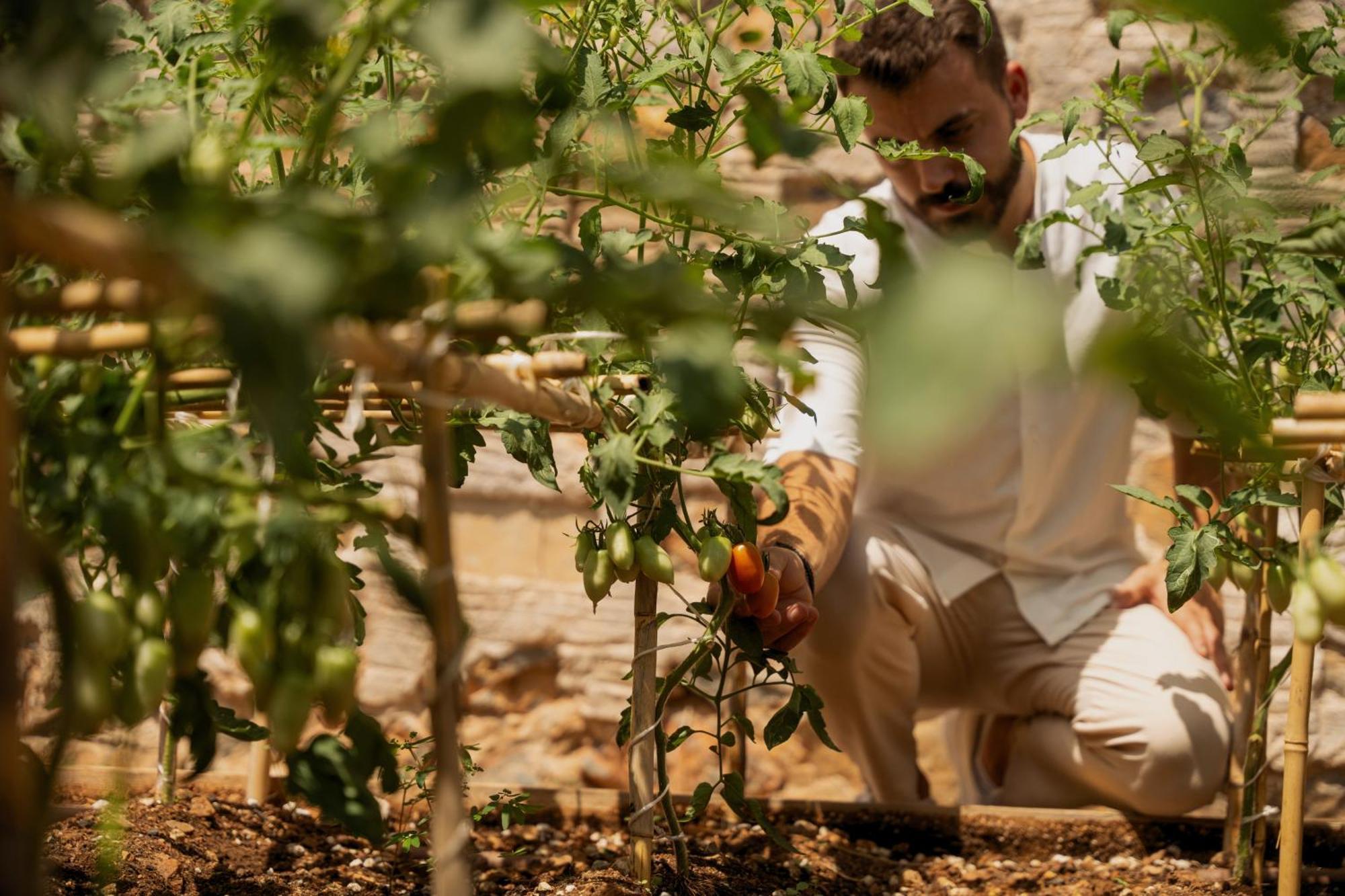 Minos Palace Resort - Adults Only Ájosz Nikólaosz Kültér fotó A farmer in the Negev